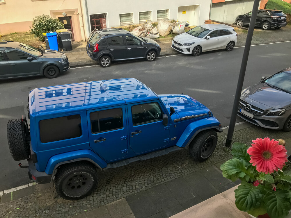 Finally, a legal parking spot! I decided to spare you the agony of seeing the pictures of the moldy car….