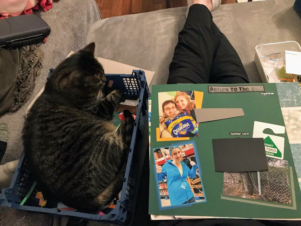 Our cat, Brexa, sitting in the paper scrap box while I scrapbook.