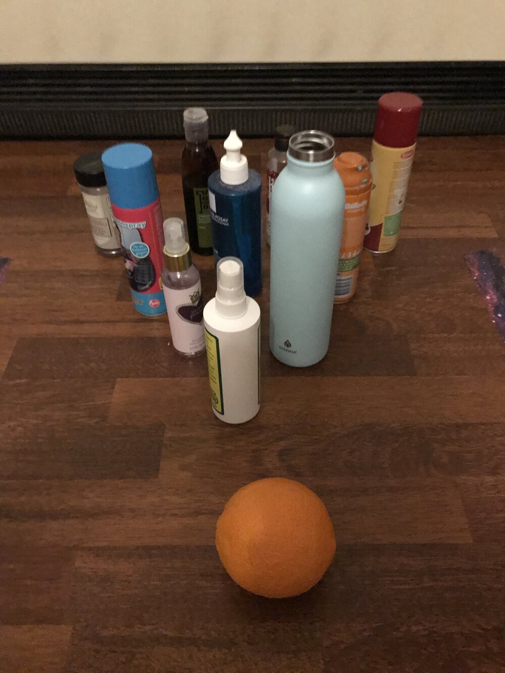 Various bottles of shampoo, salad dressing, baking spray, perfume and shaving cream as our pins, along with our bowling ball