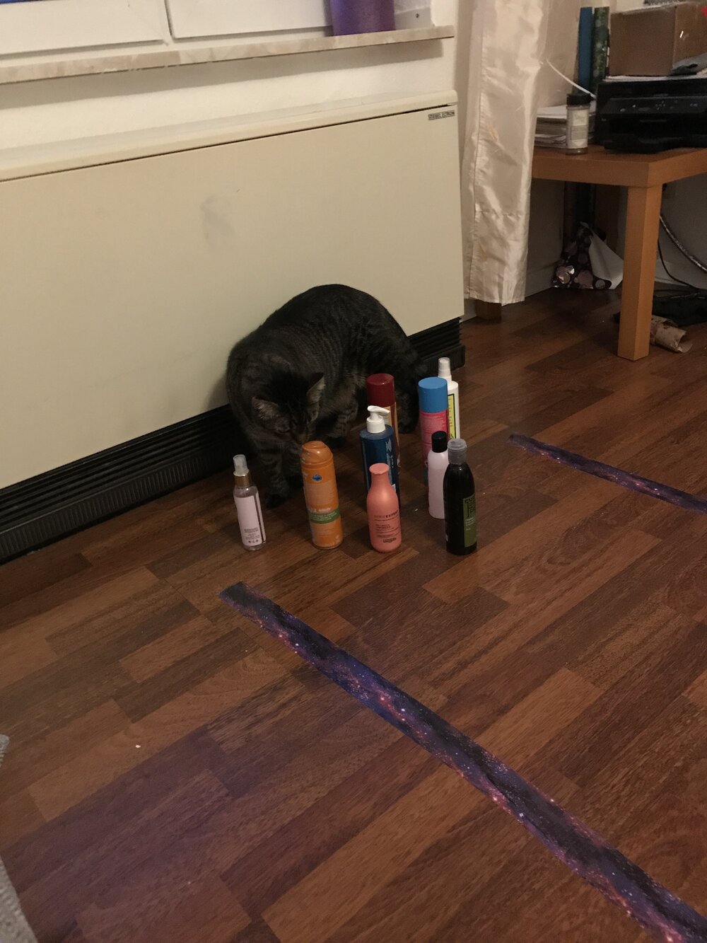 Brexa became interested in resetting the pins